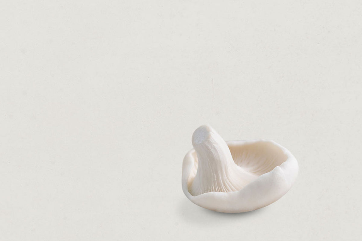 Tout savoir sur la vitamine D.