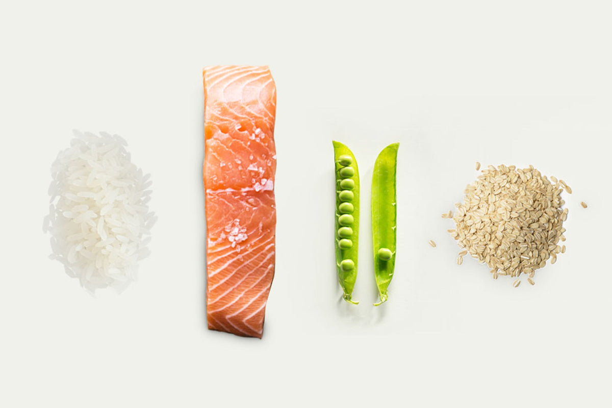 Vegetarian diet and vegan diet: how to best adopt them?