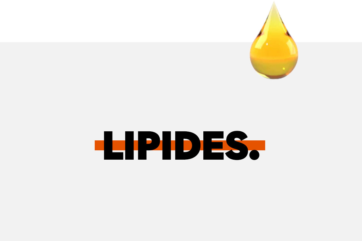 The Complete Guide to Lipids.