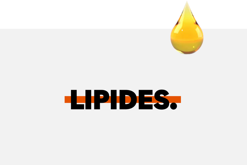 The Complete Guide to Lipids.