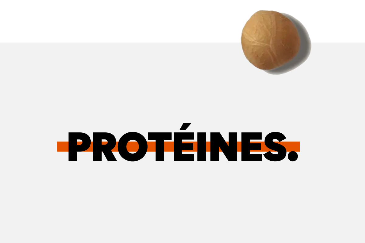 The Ultimate Guide to Protein.