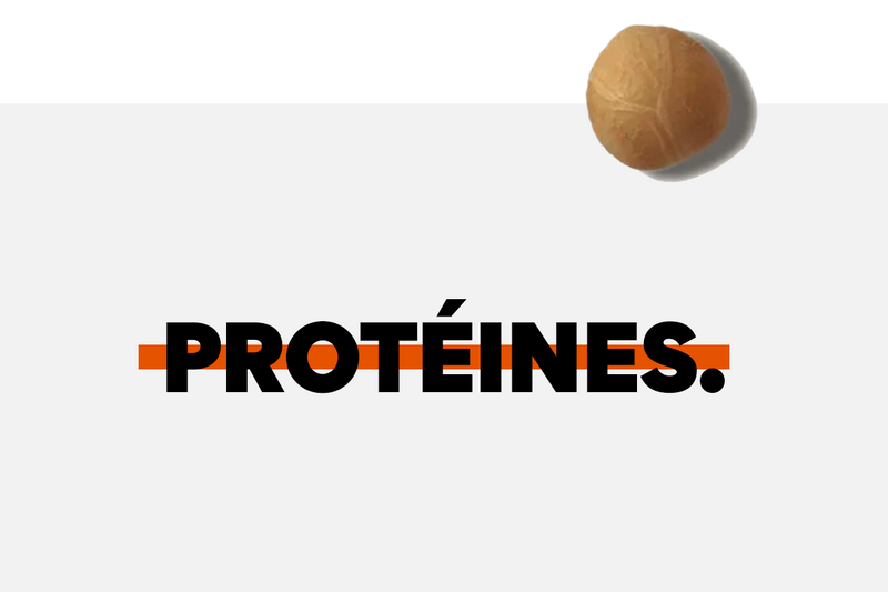 The Ultimate Guide to Protein.