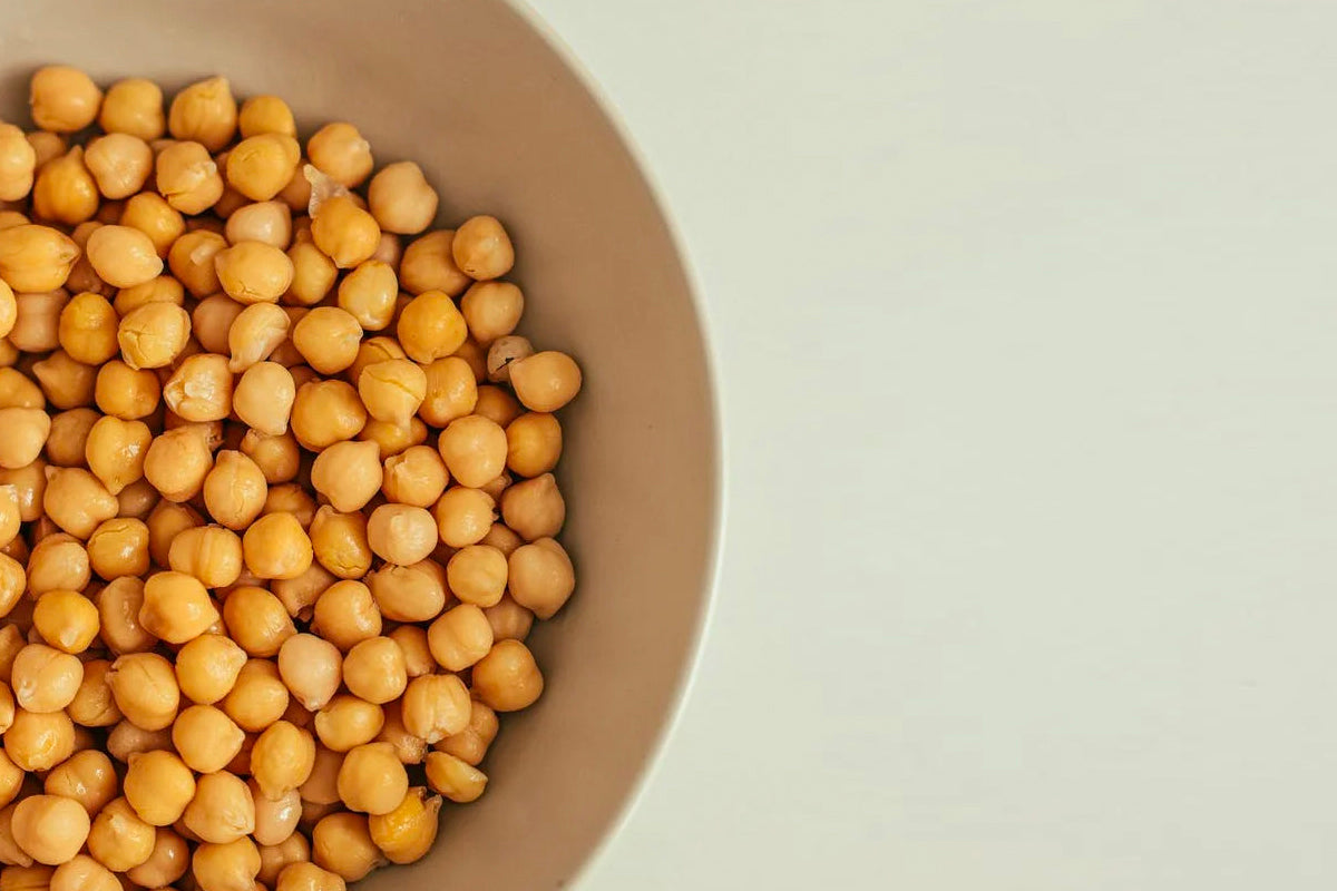 What are the richest foods in protein?