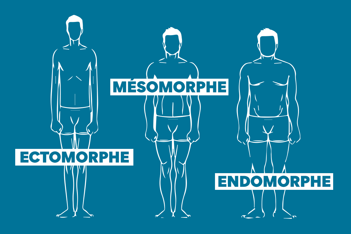 Morphotype: Everything you need to know about the ectomorph