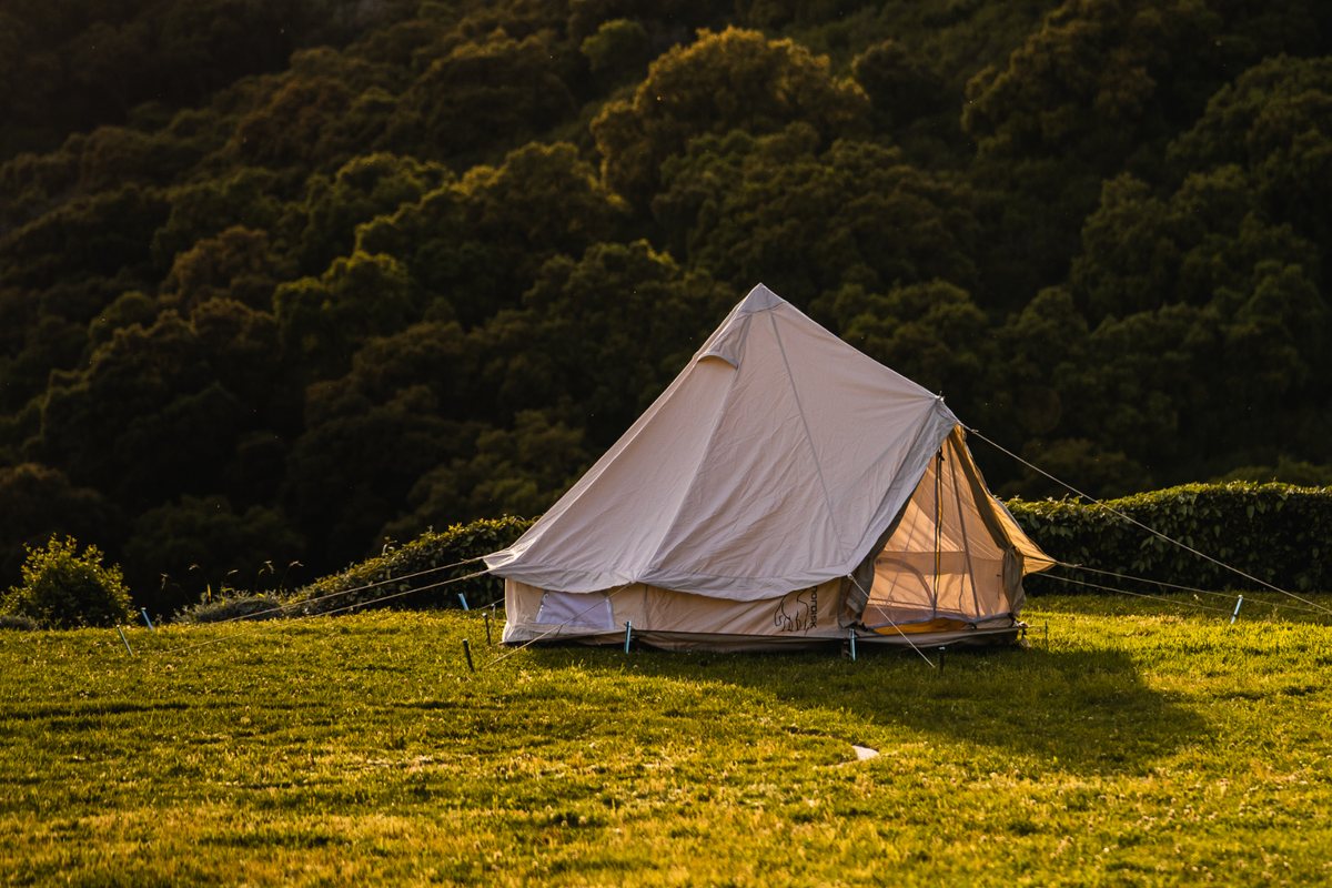 Everything you need to know to make your hikes successful.