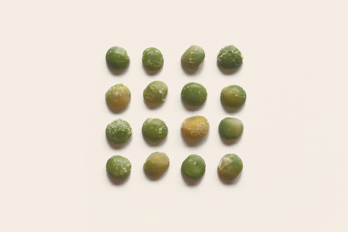 Plant proteins: What is it and why should we eat it?