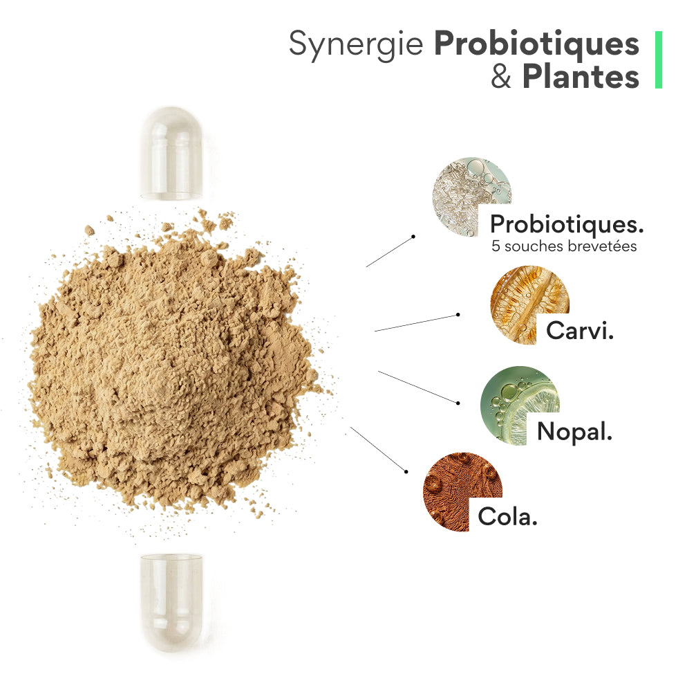 Weight loss probiotic. 