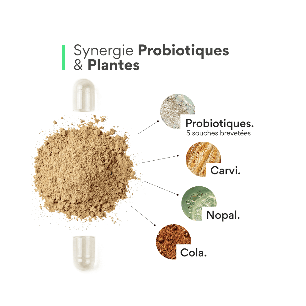 Probiotique minceur. 