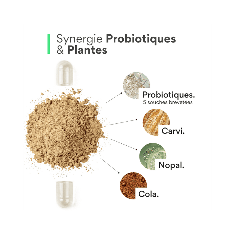 Probiotique minceur. 
